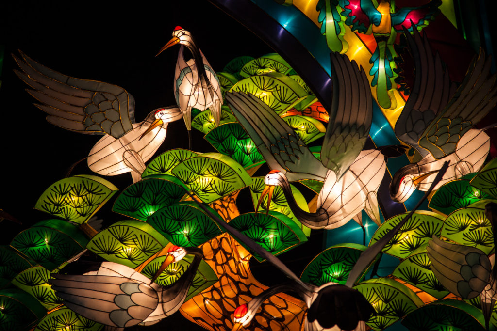 Lantern Birds